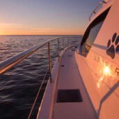 leopard-51-S-sunset-Horizon-Yacht-Charters-phuket