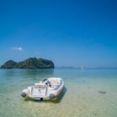 princess-65s-williams-jet-tender-Horizon-Yacht-Charters-phuket